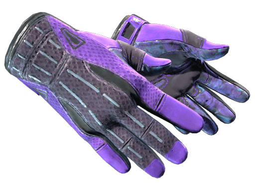 Sport Gloves | Pandora's Box