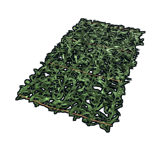 Number 1: Kelp Rug