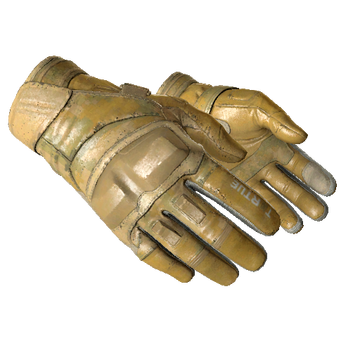 Moto Gloves - Transport (Field-Tested)
