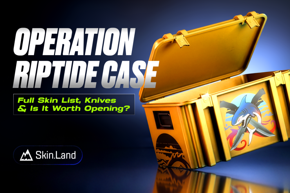 CS2 Operation Riptide 사례 안내