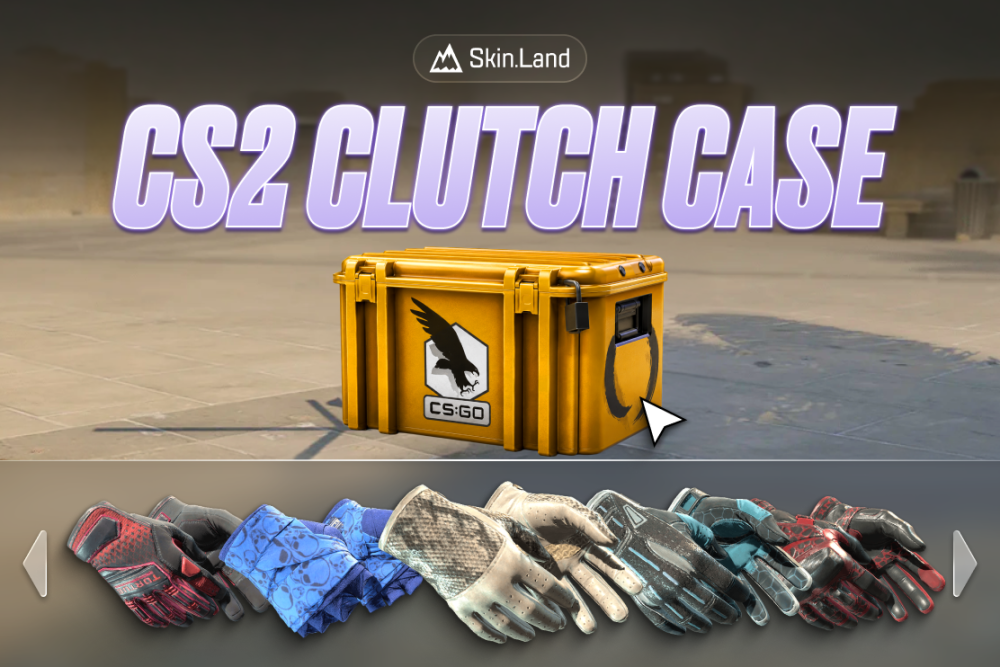 CS2 Clutch Case 안내