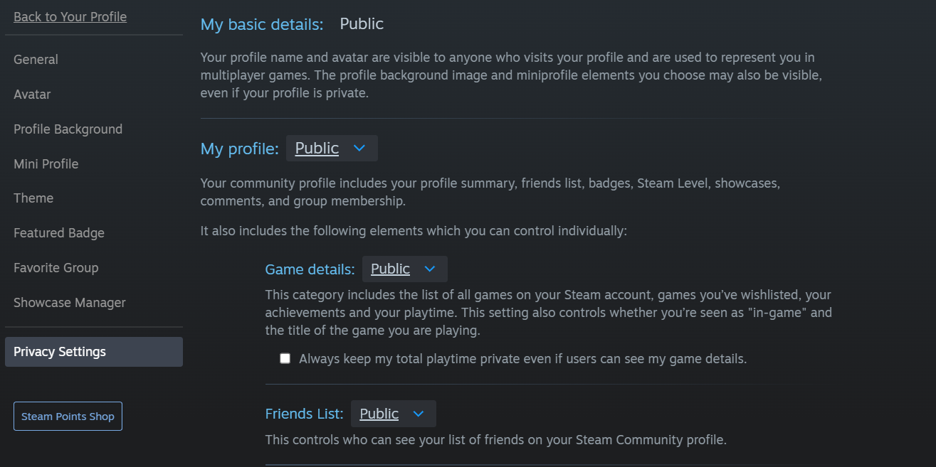 Steam Privacy Settings