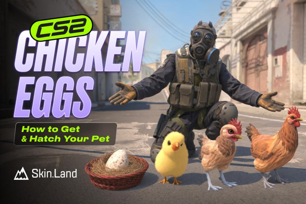 CS2 Chicken Eggs: How to Get & Hatch Your Pet