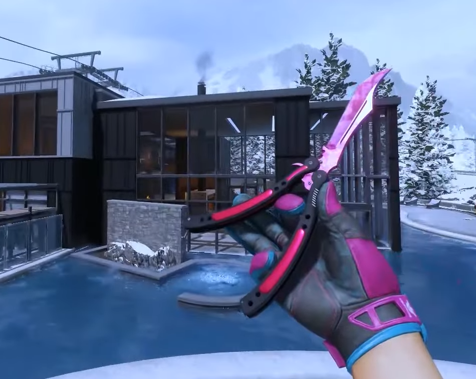 CS2 Pink Knife Glove Combos