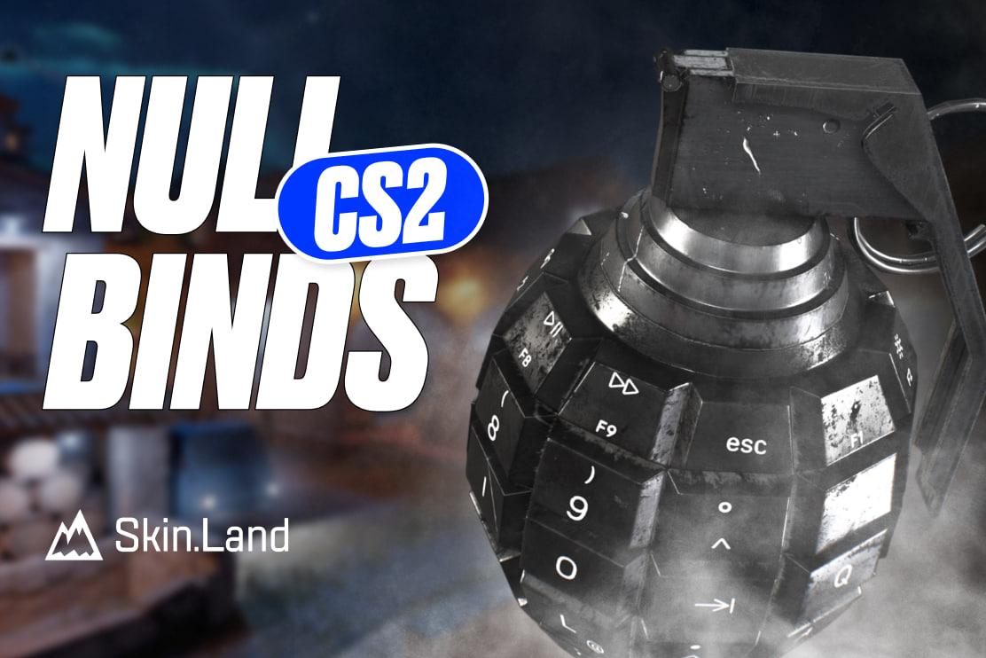 CS2 Null 바인딩: {year}에서 허용되나요? 그리고 어떻게 사용하나요?