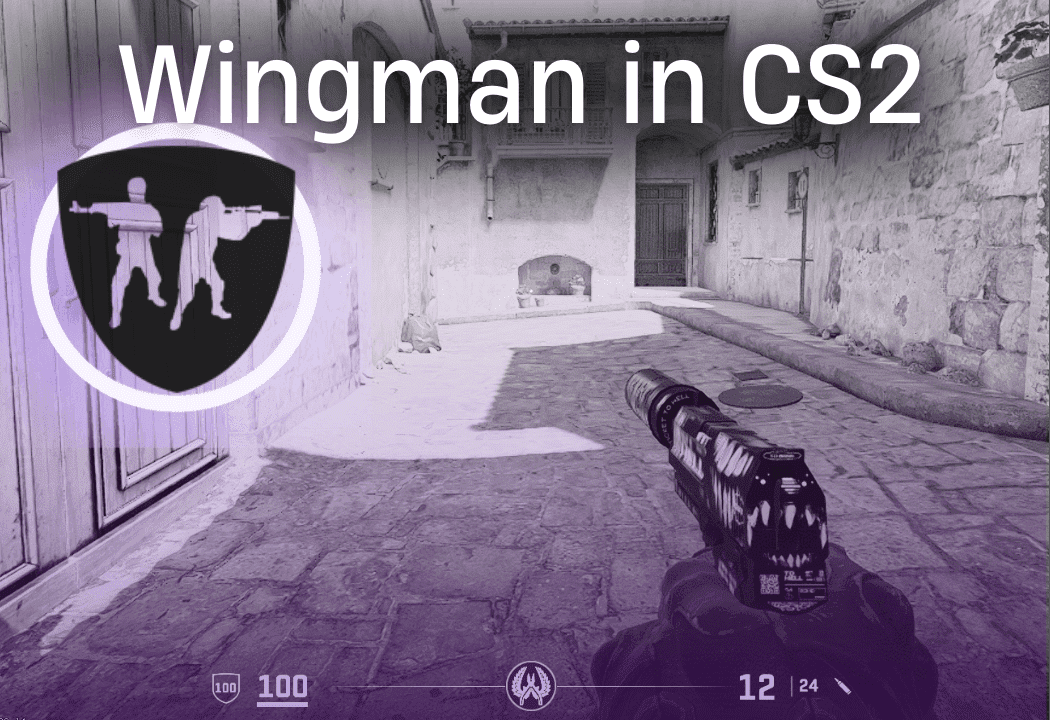 CS:GO/CS2의 윙맨