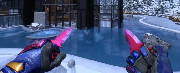 CS2 Pink Knife Glove Combos