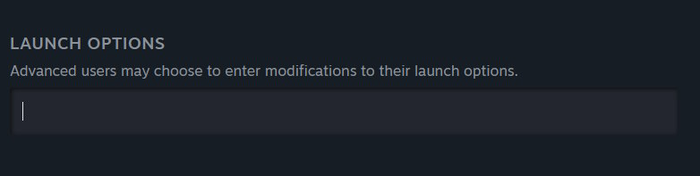 How to Set Launch Options in CS2
