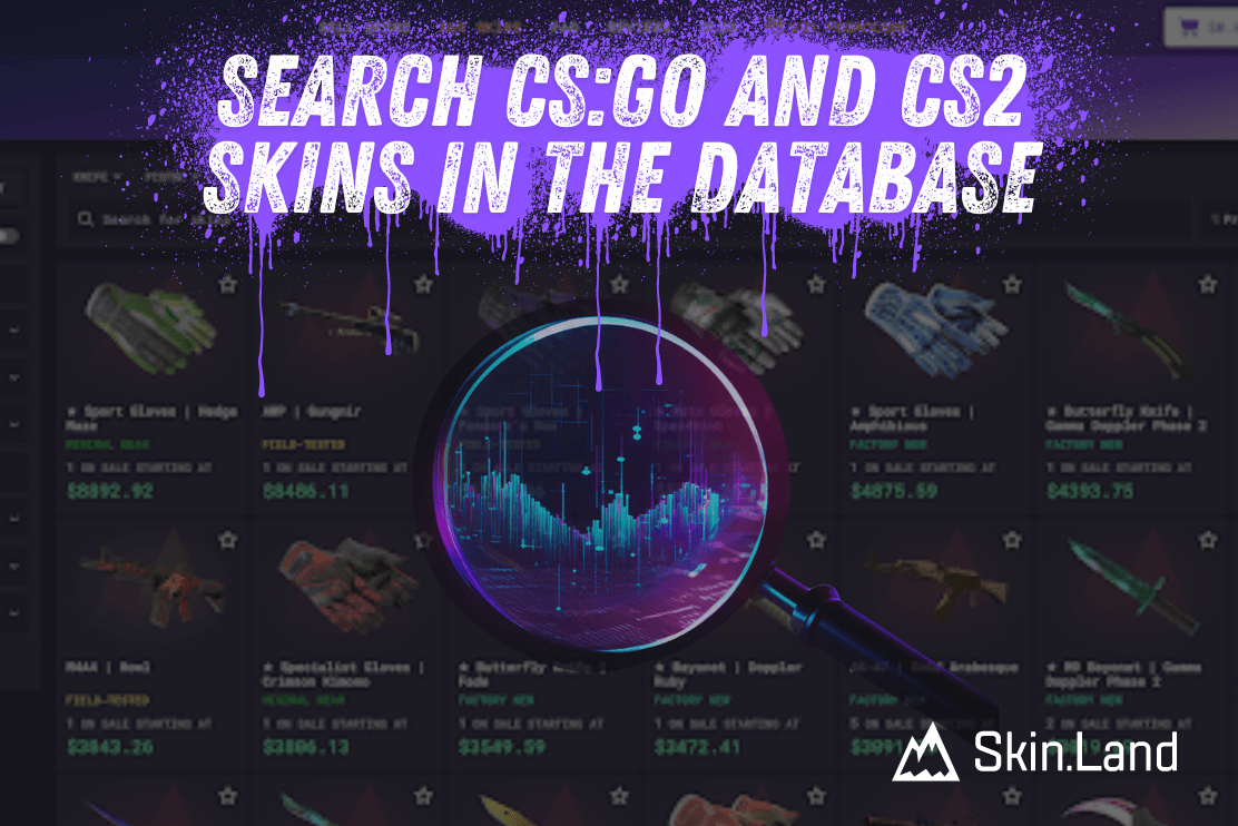 데이터베이스에서 CS:GO 및 CS2 스킨 검색