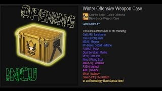 Winter Offensive Weapon Case