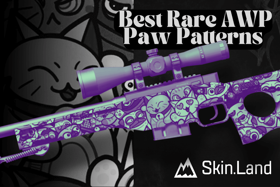 AWP Paw Mejores y Raros Patrones