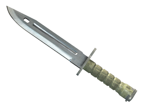 ★ StatTrak™ Bayonet