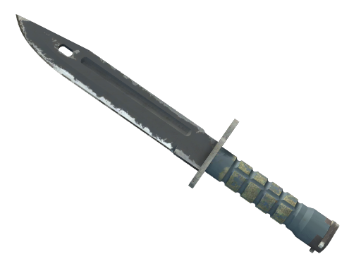 ★ StatTrak™ Bayonet | Night (Field-Tested)