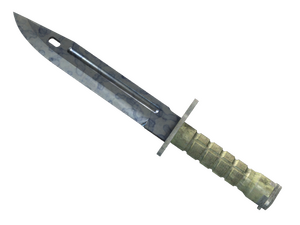 ★ ST™ Bayonet | Stained