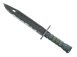 ★ ST™ Bayonet | Night