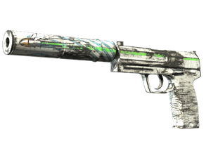 Souvenir USP-S | Road Rash