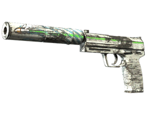 Souvenir USP-S | Road Rash