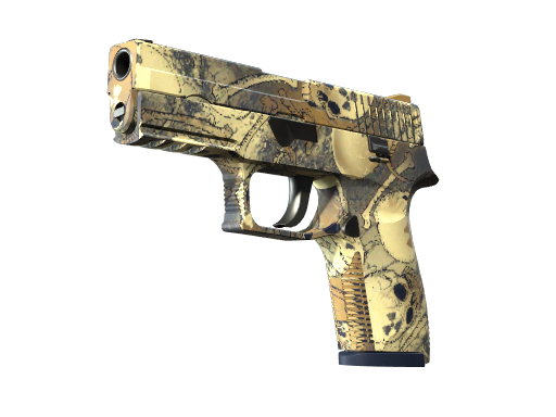 P250 | Contamination (Minimal Wear)