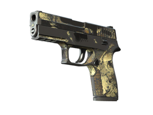 P250 | Contamination