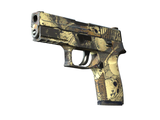 P250 | Contamination (Well-Worn)