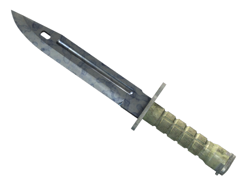 ★ StatTrak™ Bayonet | Stained (Factory New)