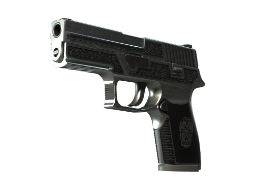 StatTrak™ P250 | Cartel (Field-Tested)