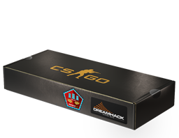DreamHack 2014 Mirage Souvenir Package