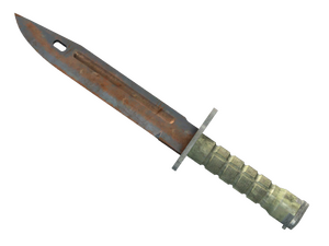 ★ ST™ Bayonet | Rust Coat