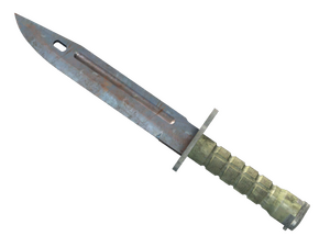 ★ Bayonet | Rust Coat