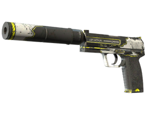 ST™ USP-S | Torque
