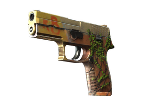 P250 | Inferno