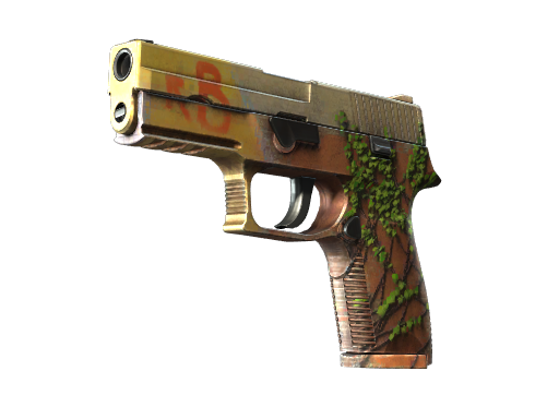 StatTrak™ P250 | Inferno (Factory New)