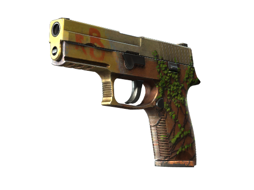 StatTrak™ P250 | Inferno (Well-Worn)