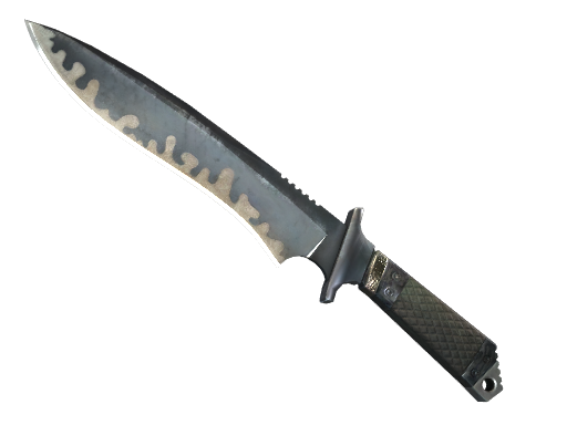 ★ StatTrak™ Classic Knife