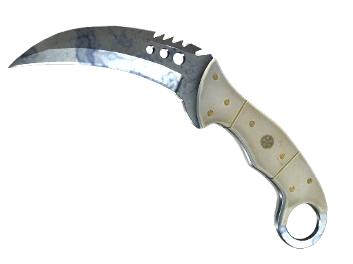 ★ StatTrak™ Talon Knife | Stained (Factory New)
