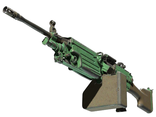 M249 | Jungle (Battle-Scarred)