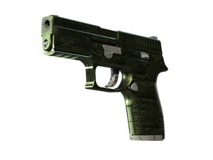 ST™ P250 | Iron Clad