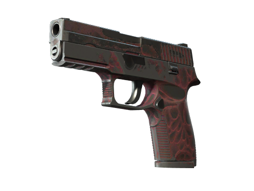 P250 | Contaminant (Battle-Scarred)
