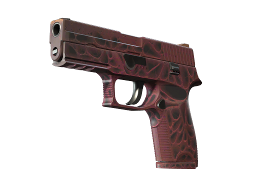 P250 | Contaminant (Minimal Wear)