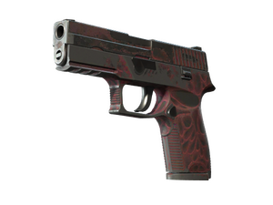 ST™ P250 | Contaminant