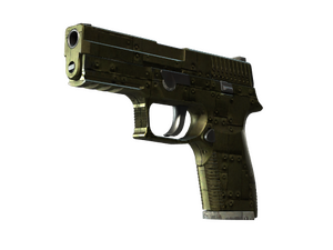 ST™ P250 | Iron Clad