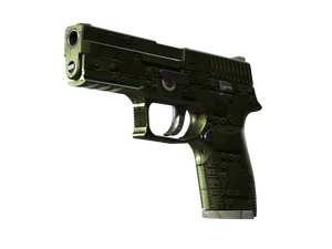 ST™ P250 | Iron Clad