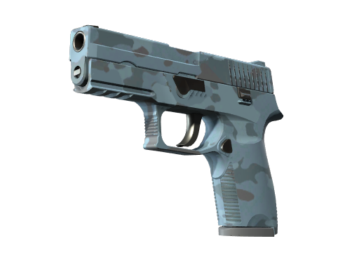 P250 | Forest Night (Minimal Wear)