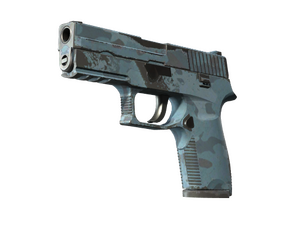 P250 | Forest Night