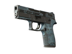 P250 | Forest Night