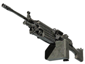 M249 | Midnight Palm