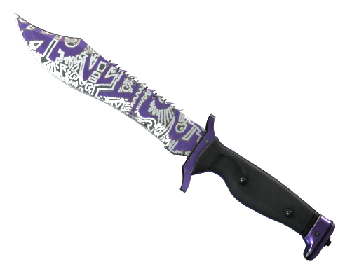 ★ Bowie Knife | Freehand (Well-Worn)