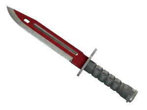 ★ ST™ Bayonet | Autotronic