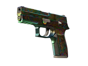 ST™ P250 | Visions