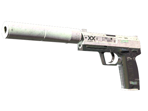 StatTrak™ USP-S | Printstream (Battle-Scarred)